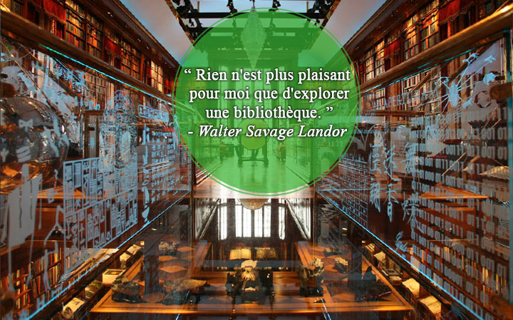 28-citations-qui-prouvent-que-les-bibliotheques-sont-de-veritables-tresors-quil-faut-sauvegarder20