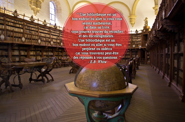 28-citations-qui-prouvent-que-les-bibliotheques-sont-de-veritables-tresors-quil-faut-sauvegarder22
