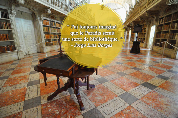28-citations-qui-prouvent-que-les-bibliotheques-sont-de-veritables-tresors-quil-faut-sauvegarder25