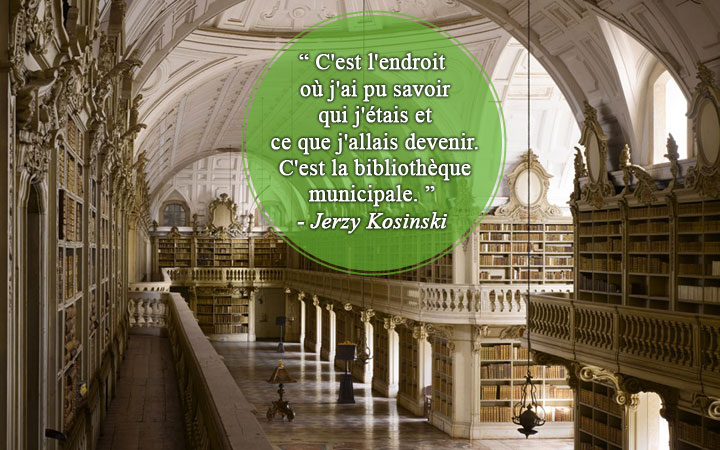 28-citations-qui-prouvent-que-les-bibliotheques-sont-de-veritables-tresors-quil-faut-sauvegarder3