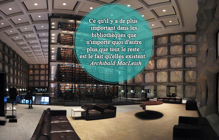 28-citations-qui-prouvent-que-les-bibliotheques-sont-de-veritables-tresors-quil-faut-sauvegarder6