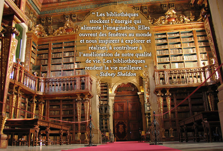 28-citations-qui-prouvent-que-les-bibliotheques-sont-de-veritables-tresors-quil-faut-sauvegarder9