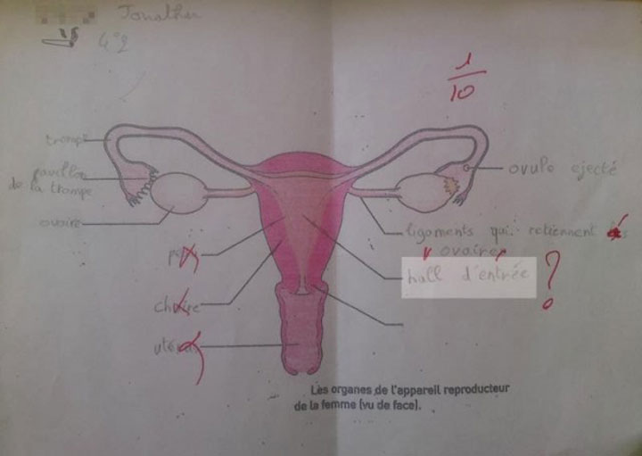 ces-21-corrections-prouvent-bien-que-vos-professeurs-ont-de-la-patience-et-surtout-de-lhumour14