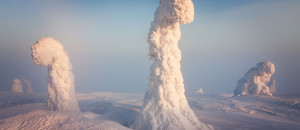 decouvrez-une-foret-transformee-en-un-magnifique-paysage-extraterrestre-par-le-froid-polaire-une