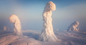 decouvrez-une-foret-transformee-en-un-magnifique-paysage-extraterrestre-par-le-froid-polaire-une