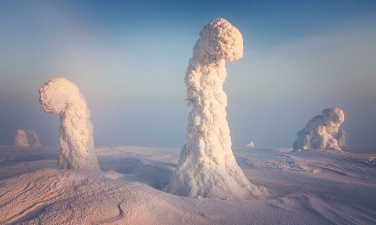 decouvrez-une-foret-transformee-en-un-magnifique-paysage-extraterrestre-par-le-froid-polaire-une