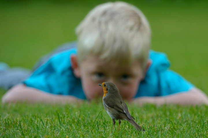 des-animaux-sauvages-revelent-toute-leur-douceur-a-travers-les-cliches-dun-photographe15