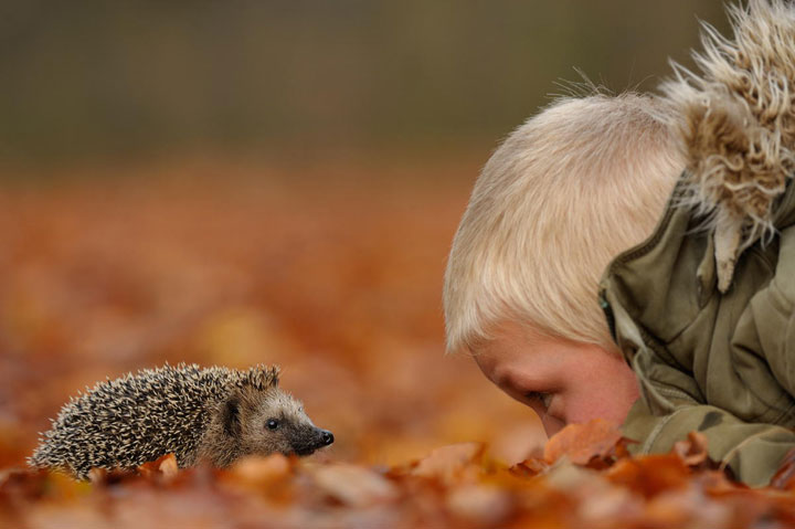 des-animaux-sauvages-revelent-toute-leur-douceur-a-travers-les-cliches-dun-photographe2