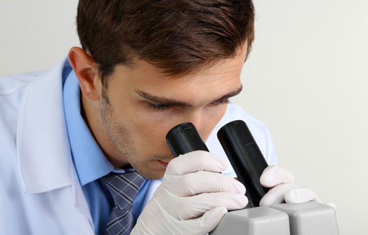 des-robots-concus-a-base-de-bacteries-sauveront-peut-etre-bientot-votre-vie3