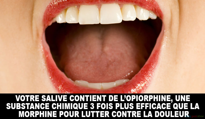 opiorphine20