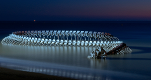 un-gigantesque-squelette-de-serpent-en-aluminium-a-elu-domicile-sur-les-plages-de-la-loire-une`