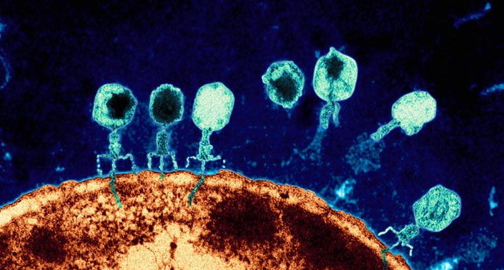 vous-pouvez-desormais-manger-vos-crottes-de-nez-sans-complexe-un-scientifique-explique-que-cest-bon-pour-la-sante3