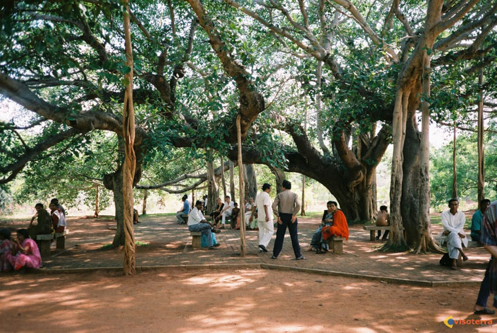 17-citees-atypiques-qui-se-demarquent-des-autres36