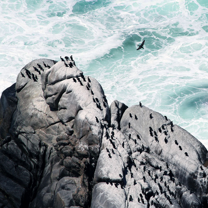 21-paysages-cotier43