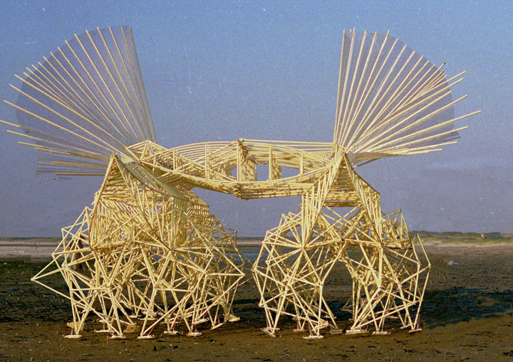 ces-formidables-creatures-cinetiques-se-deplacent-de-facon-autonome-a-la-seule-force-des-vents8