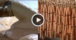 decouvrez-comment-les-produits-du-quotidien-sont-fabriques-une