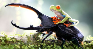 decouvrez-la-premiere-selection-des-sony-world-photography-awards-une