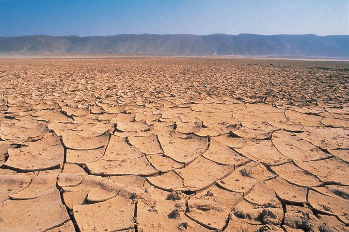 immenses-oeuvres-dans-le-sahara50