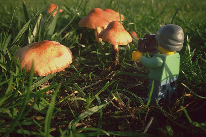 partez-en-voyage-avec-de-lego-photographe11