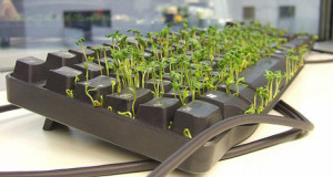 26-blagues-hilarantes-qui-feront-de-vous-le-meilleur-farceur-du-1er-avril-une