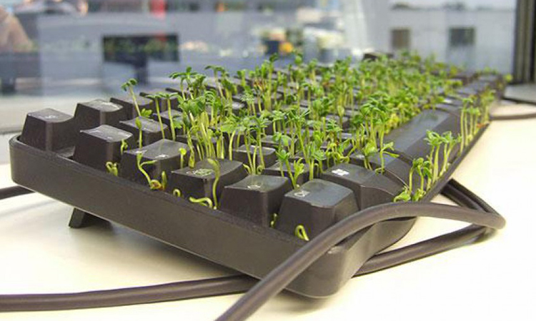 26-blagues-hilarantes-qui-feront-de-vous-le-meilleur-farceur-du-1er-avril-une