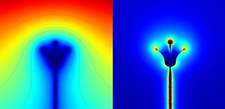 abeilles-super-heros1