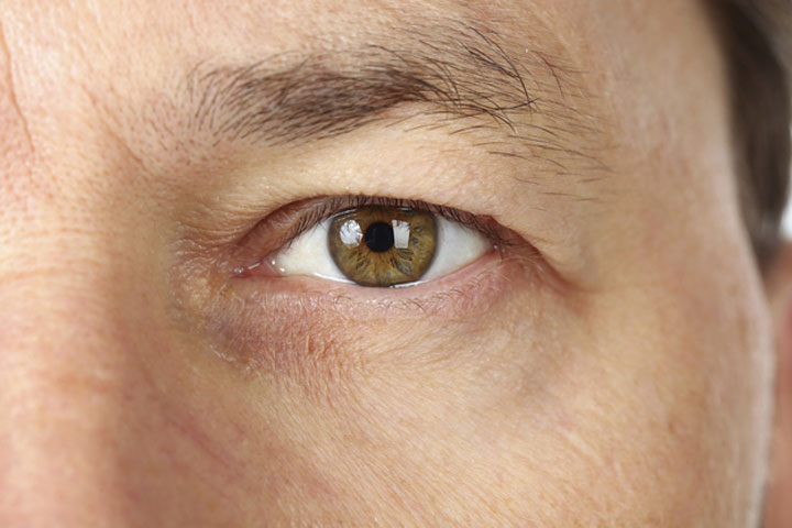 abeilles-super-heros10