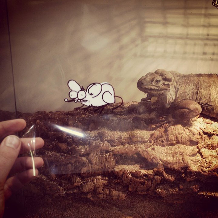 artiste-insere-dessins-sur-film-transparent23