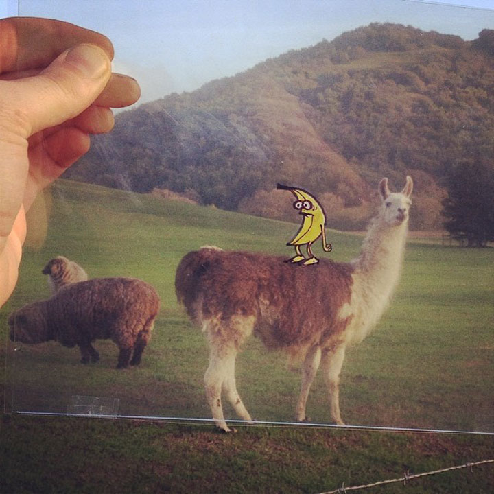 artiste-insere-dessins-sur-film-transparent7