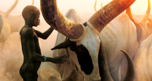 carol-et-angelina-vous-font-decouvrir-les-traditions-du-peuple-dinkas-a-travers-de-magnifiques-photographies-une