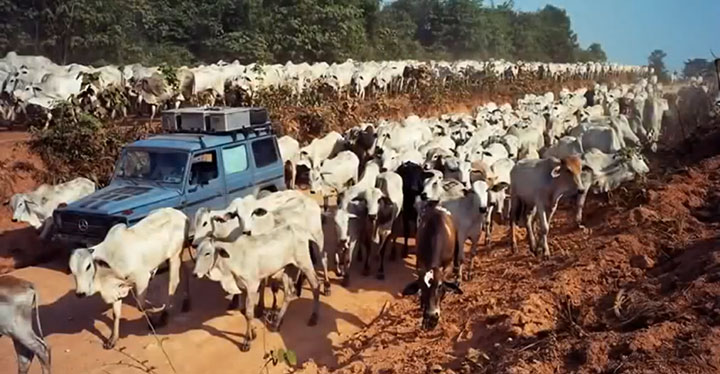 ce-voyage-de-18-mois-dure-maintenant-depuis-plus-de-25-ans14