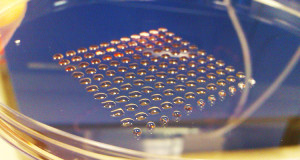 des-cellules-humaines-imprimees-en-3d-grace-a-des-micro-robots-une1