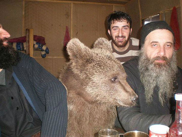 des-ours-aux-comportements-humains12