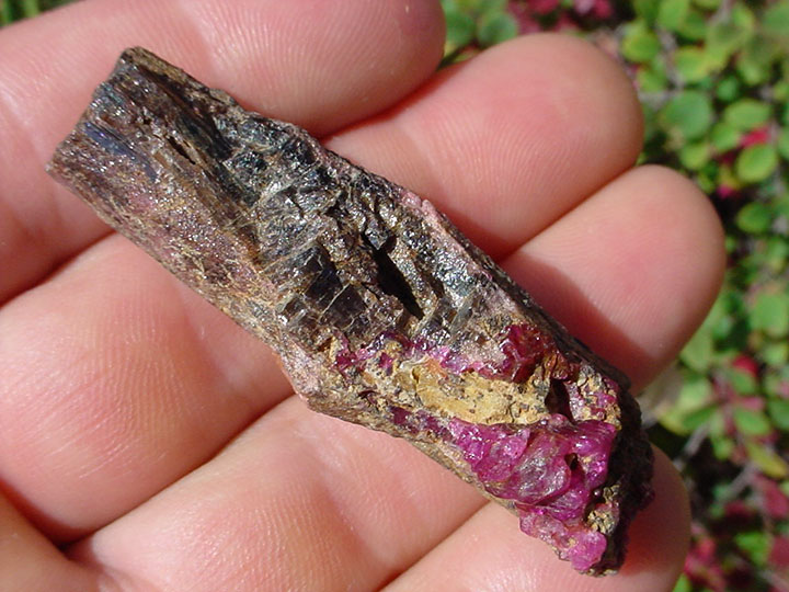 le-17-substances-les-plus-cheres-du-monde12