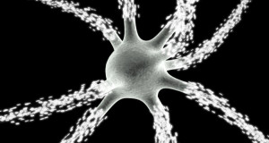 pour-ne-pas-devenir-fou-votre-cerveau-a-elabore-un-processus-de-loubli1