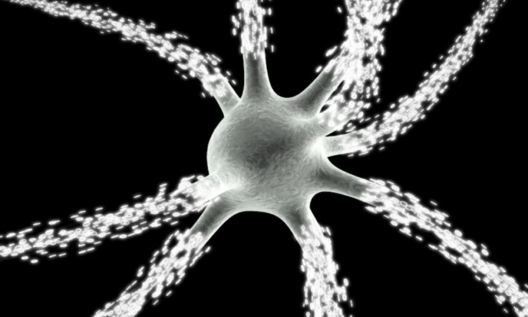 pour-ne-pas-devenir-fou-votre-cerveau-a-elabore-un-processus-de-loubli1