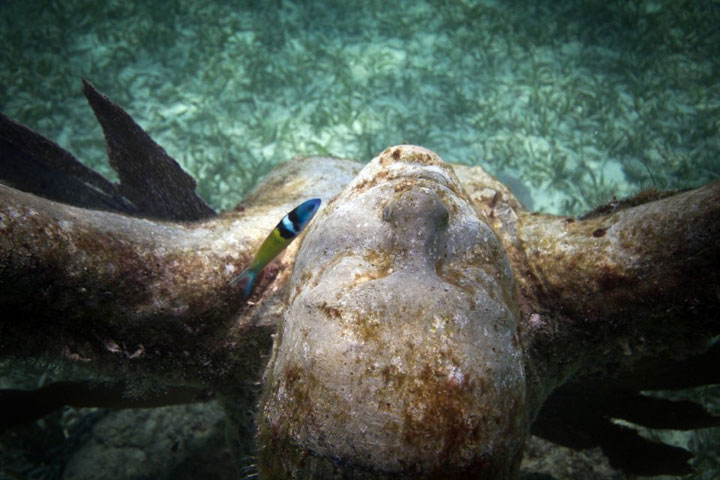 sculpture-dans-leau39