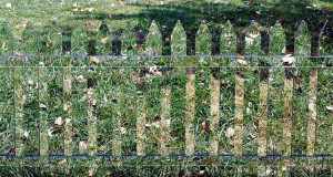 une-artiste-cree-des-clotures-composees-de-miroirs-qui-se-fondent-dans-la-nature-une