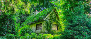 17-maisons-mystiques-mais-bien-reelles-dans-lesquelles-vous-adoreriez-vivre-une