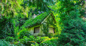 17-maisons-mystiques-mais-bien-reelles-dans-lesquelles-vous-adoreriez-vivre-une