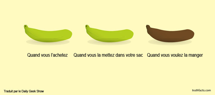 20-petites-verites-de-tous-les-jours-illustrees-dans-des-infographies-pleines-dhumour-4