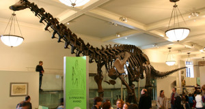 31-choses-que-vous-pensiez-probablement-etre-vraies-mais-qui-saverent-etre-totalement-fausses-une