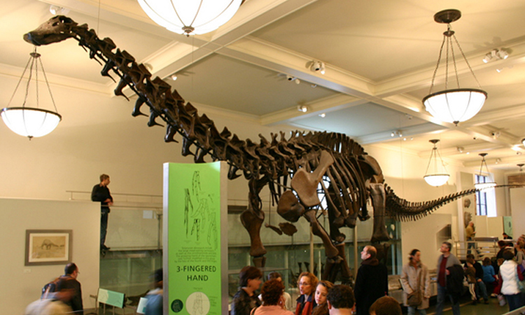 31-choses-que-vous-pensiez-probablement-etre-vraies-mais-qui-saverent-etre-totalement-fausses-une