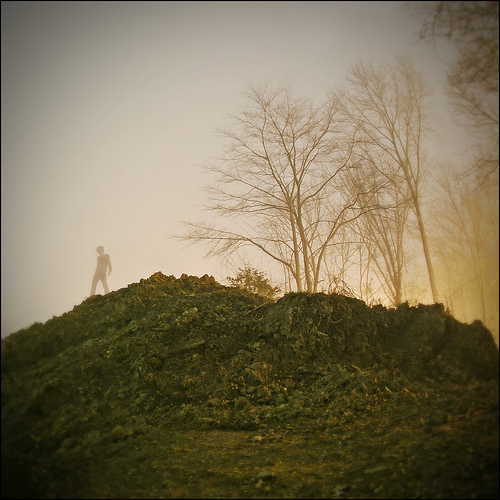 6463448013_55206f6375