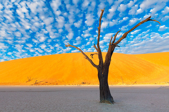 admirez-le-magnifique-desert-de-namibie-grace-a-ces-fantastiques-photographies1