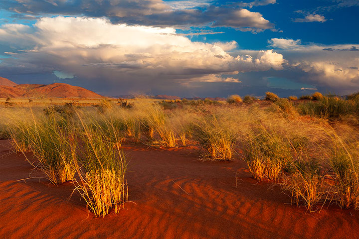 admirez-le-magnifique-desert-de-namibie-grace-a-ces-fantastiques-photographies10