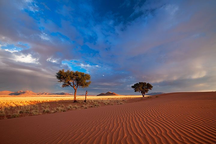 admirez-le-magnifique-desert-de-namibie-grace-a-ces-fantastiques-photographies12