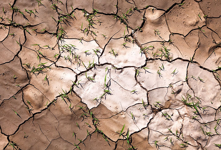 admirez-le-magnifique-desert-de-namibie-grace-a-ces-fantastiques-photographies22