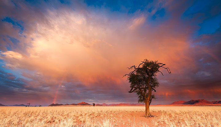 admirez-le-magnifique-desert-de-namibie-grace-a-ces-fantastiques-photographies25