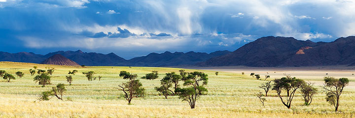admirez-le-magnifique-desert-de-namibie-grace-a-ces-fantastiques-photographies28